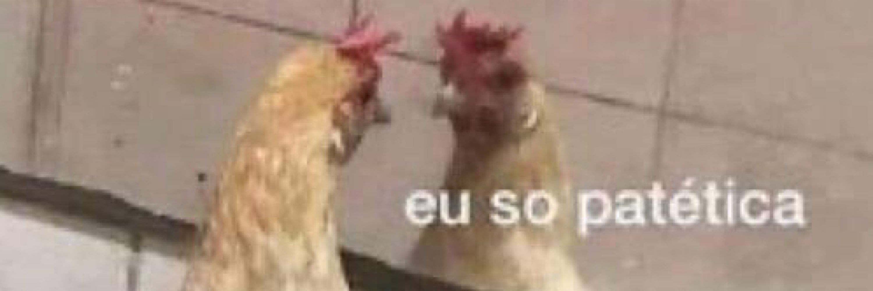 Novata no céu azul 🦋