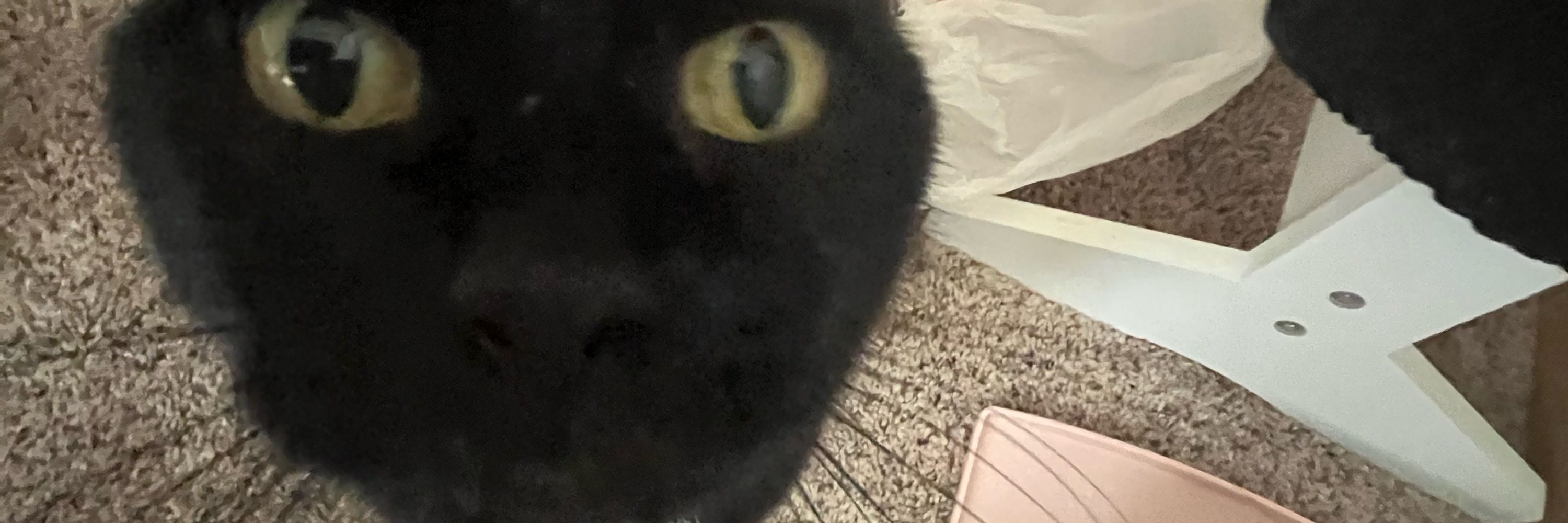 Figaro