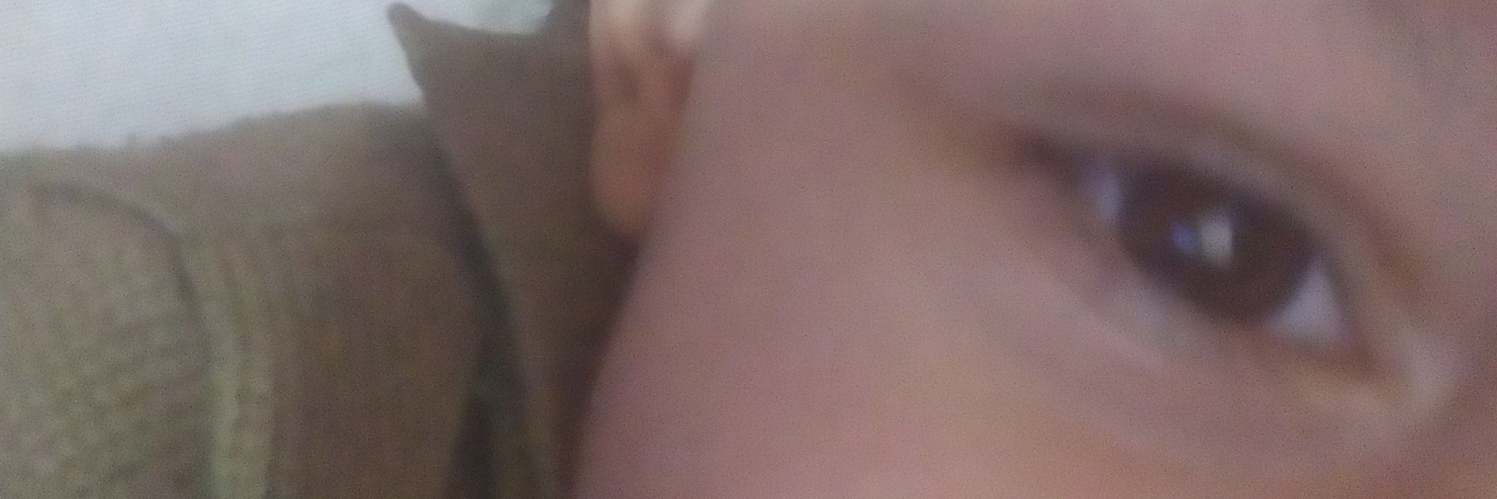 Dudaa