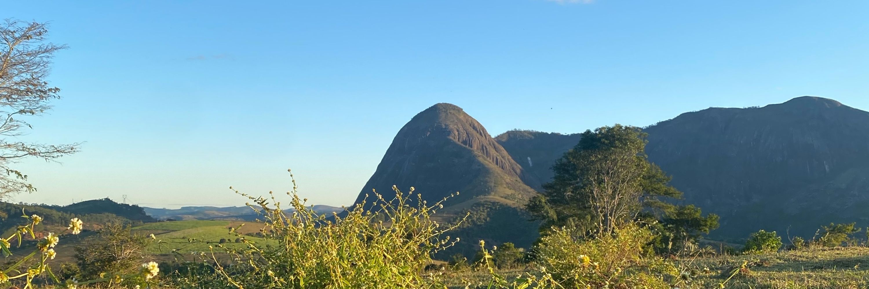  Maju 