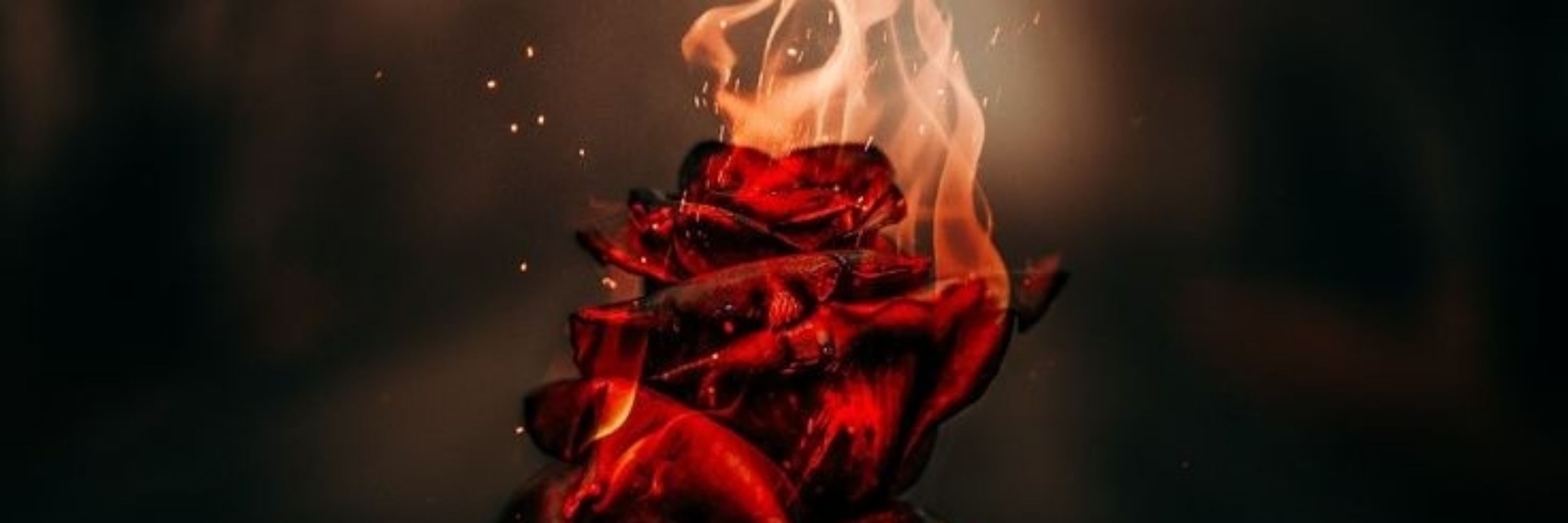 🌹
