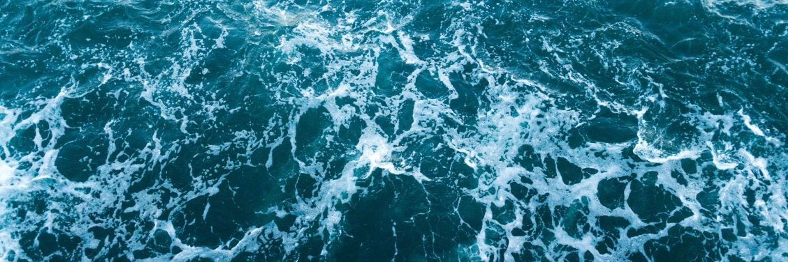 Scientific Committee on Oceanic Research (SCOR)