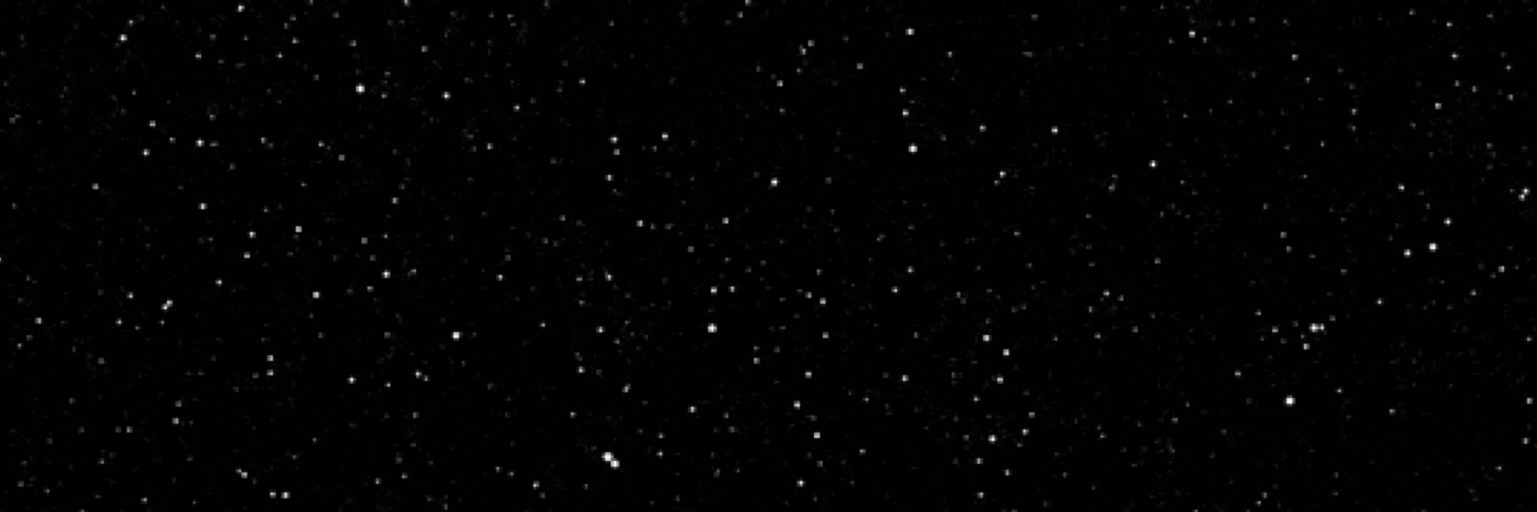 gi 💫