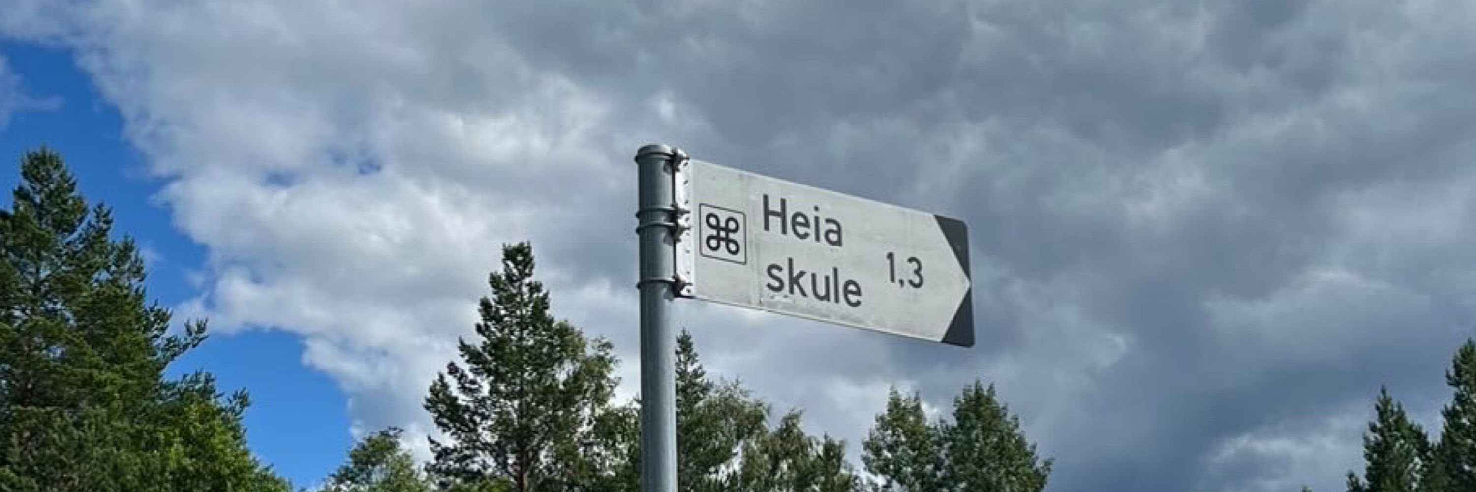 Skule Wigenstad