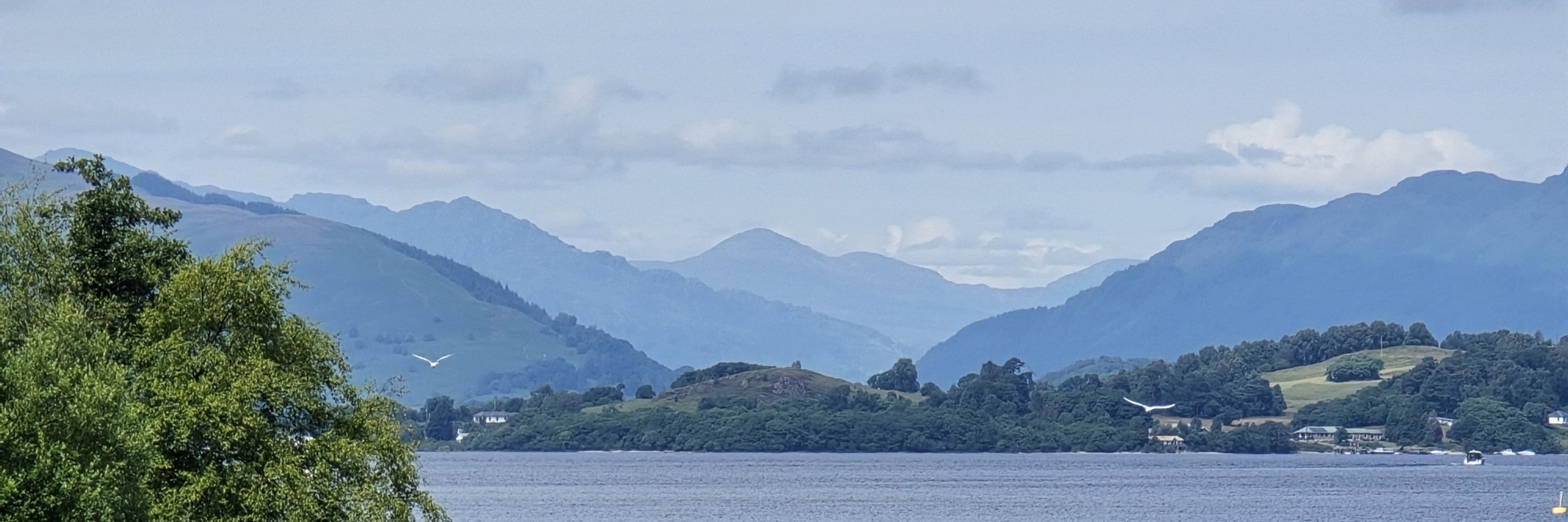 WIL Scotland