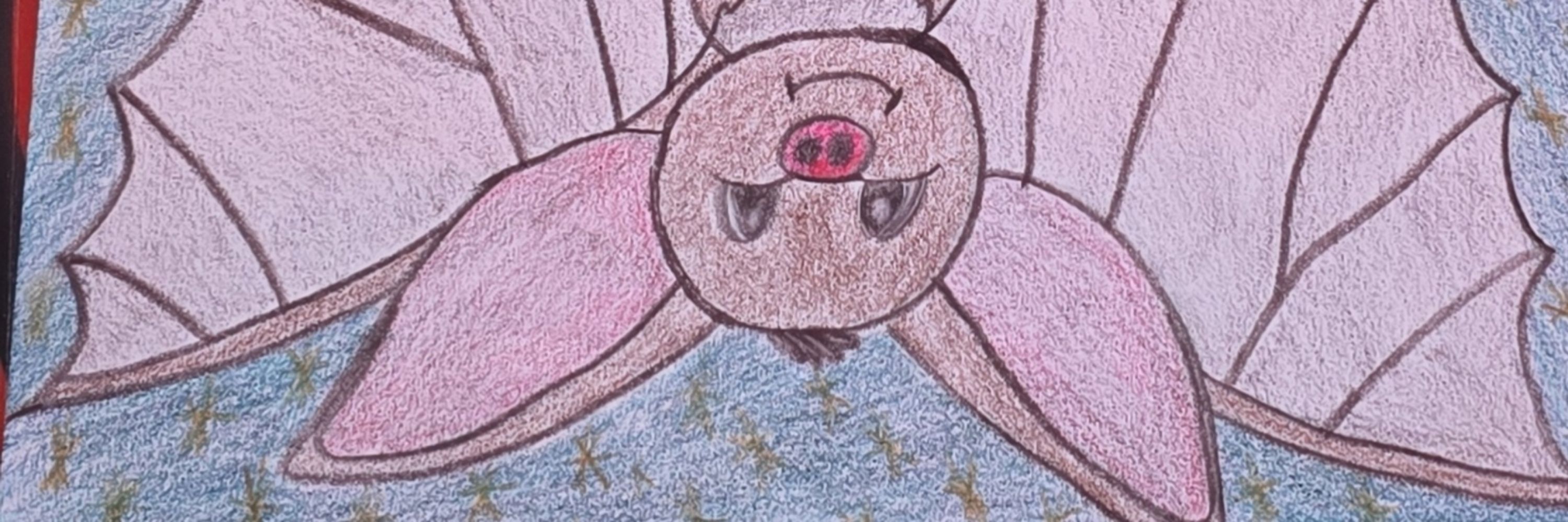 Bats crafts and reads