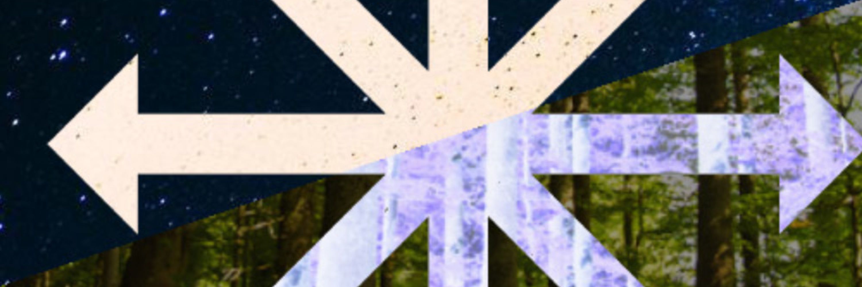 Ⓐnarchist Goose ❋🏴🌲