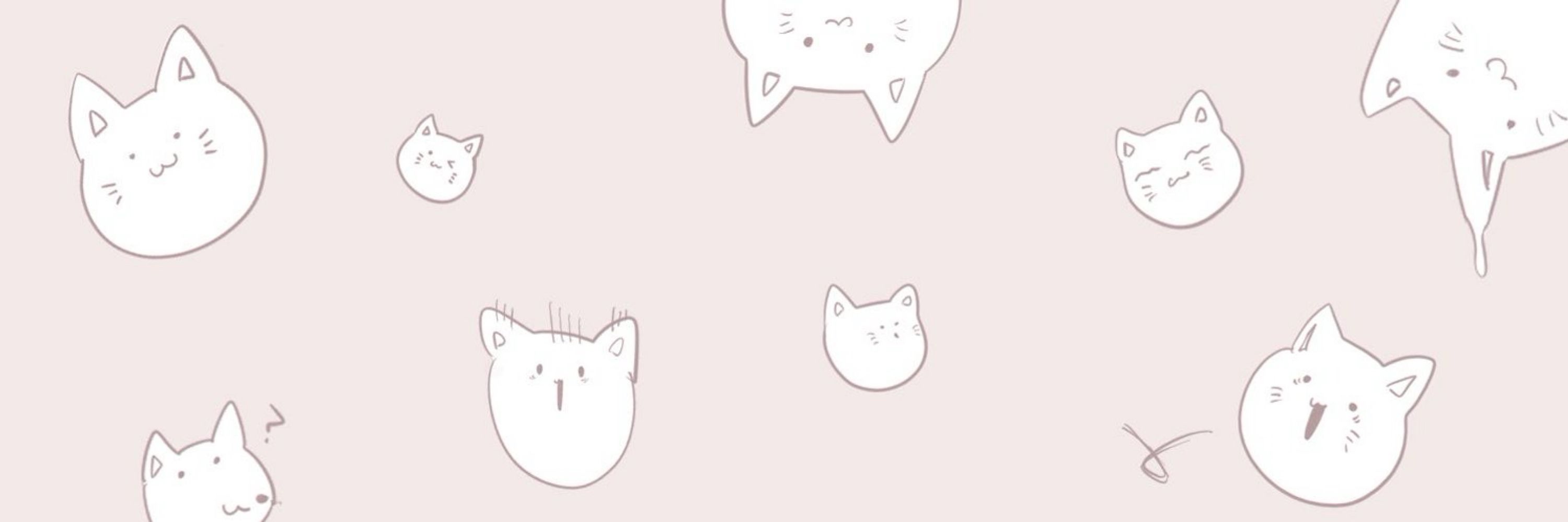 白猫☆