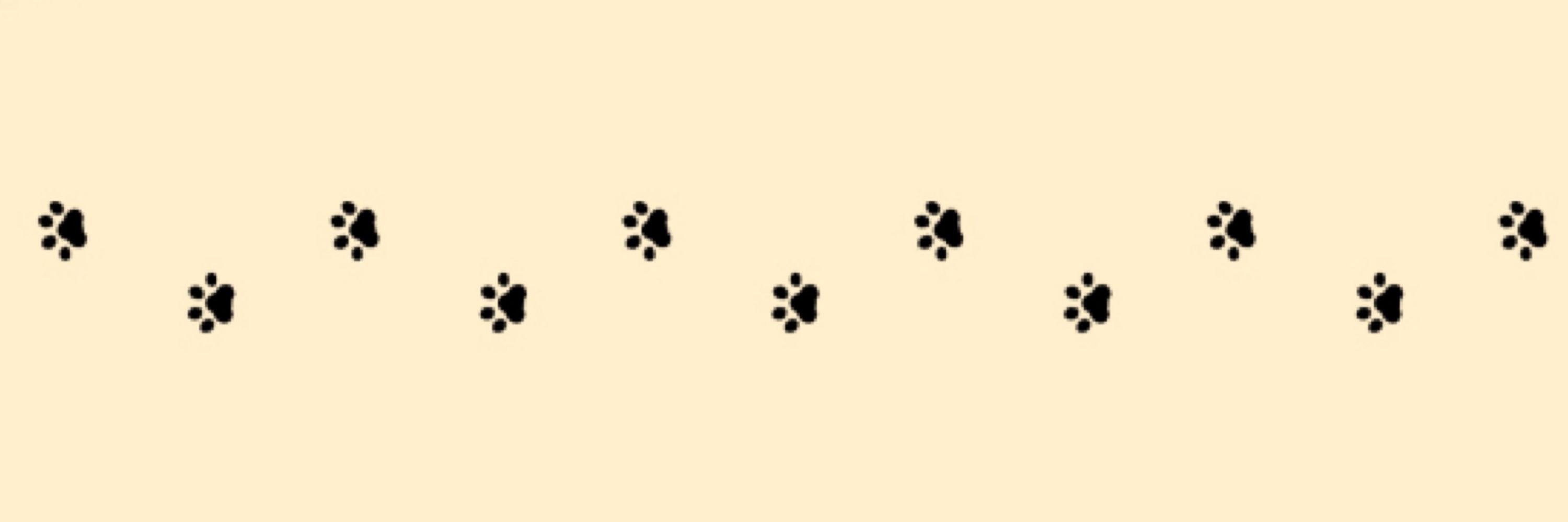 つきもり