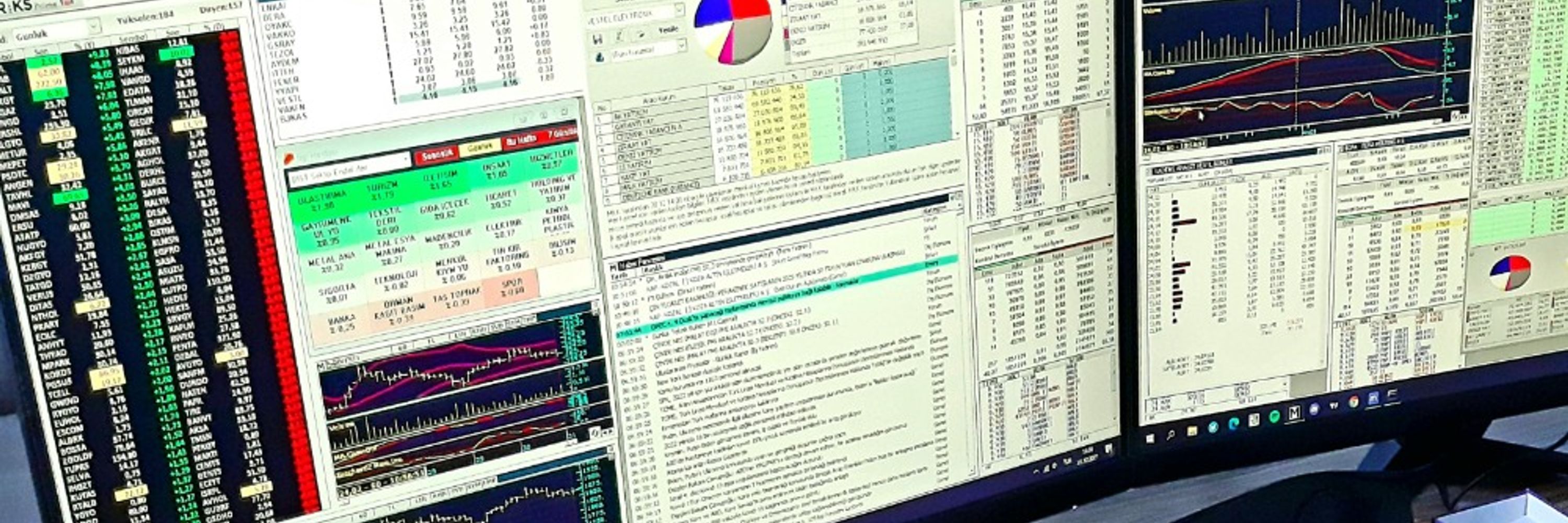 SinerjiPortföy - Turkish Stocks