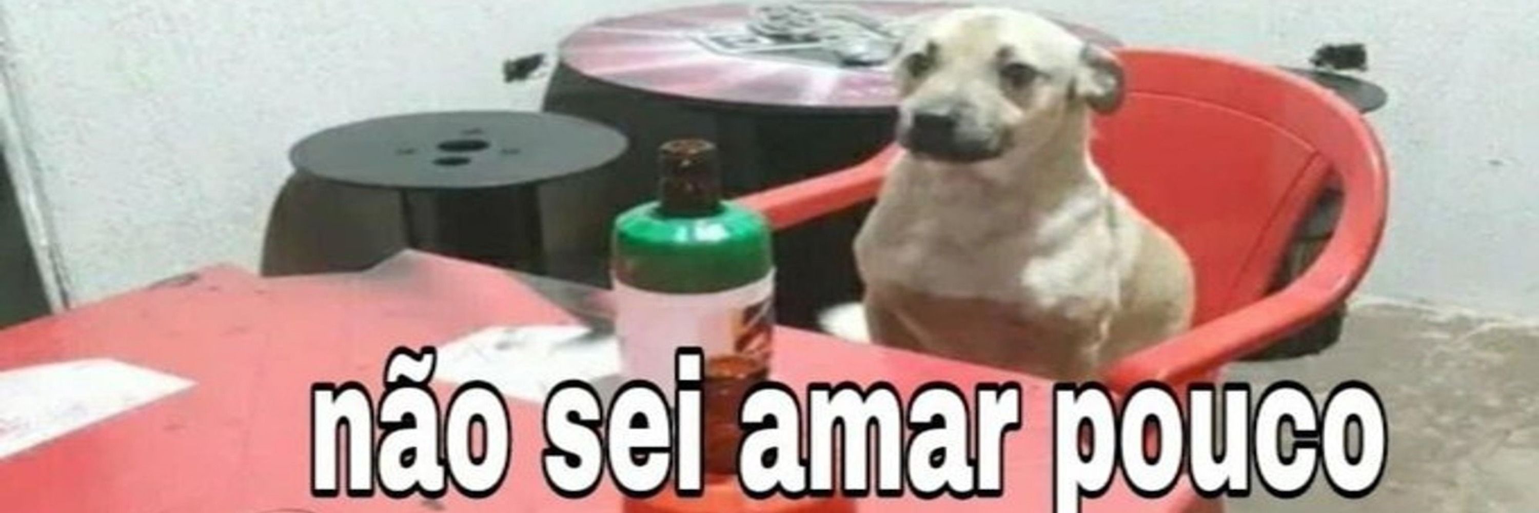 Bárbaro romântico  🇵🇸 🇧🇷