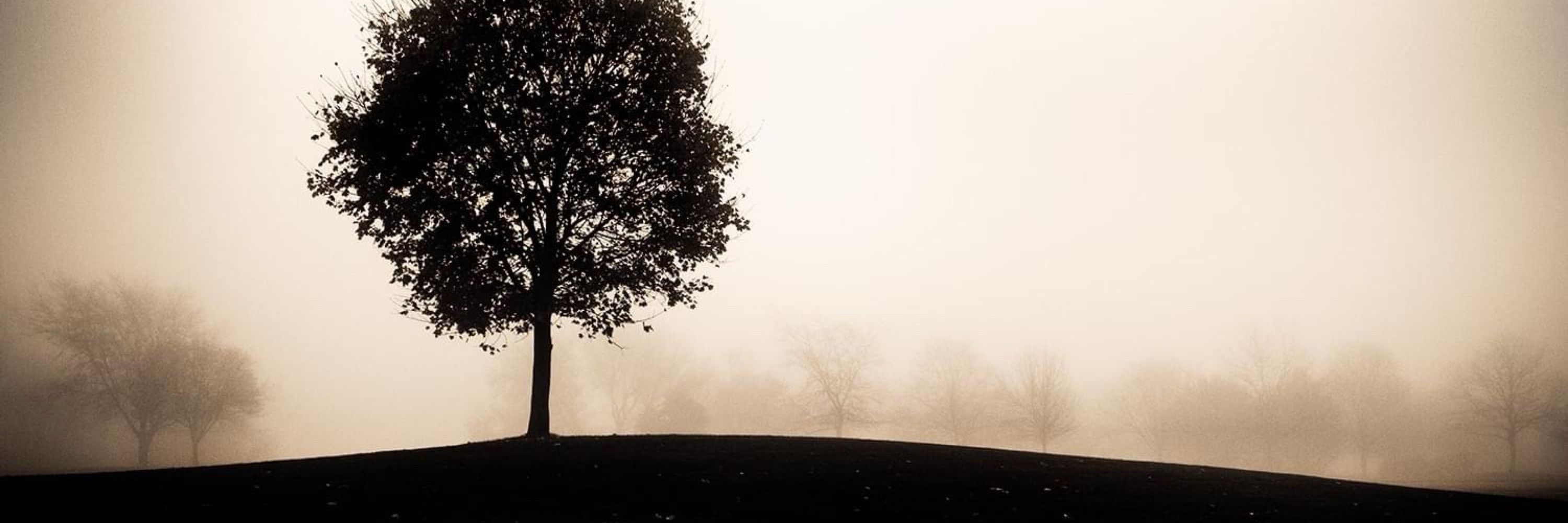 Ian Hanslope