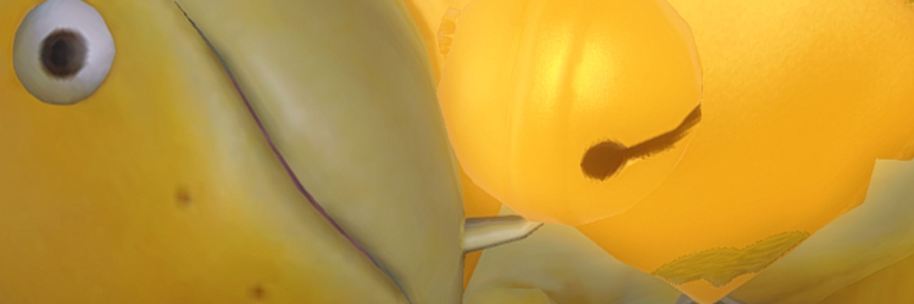 Redeyes Carne