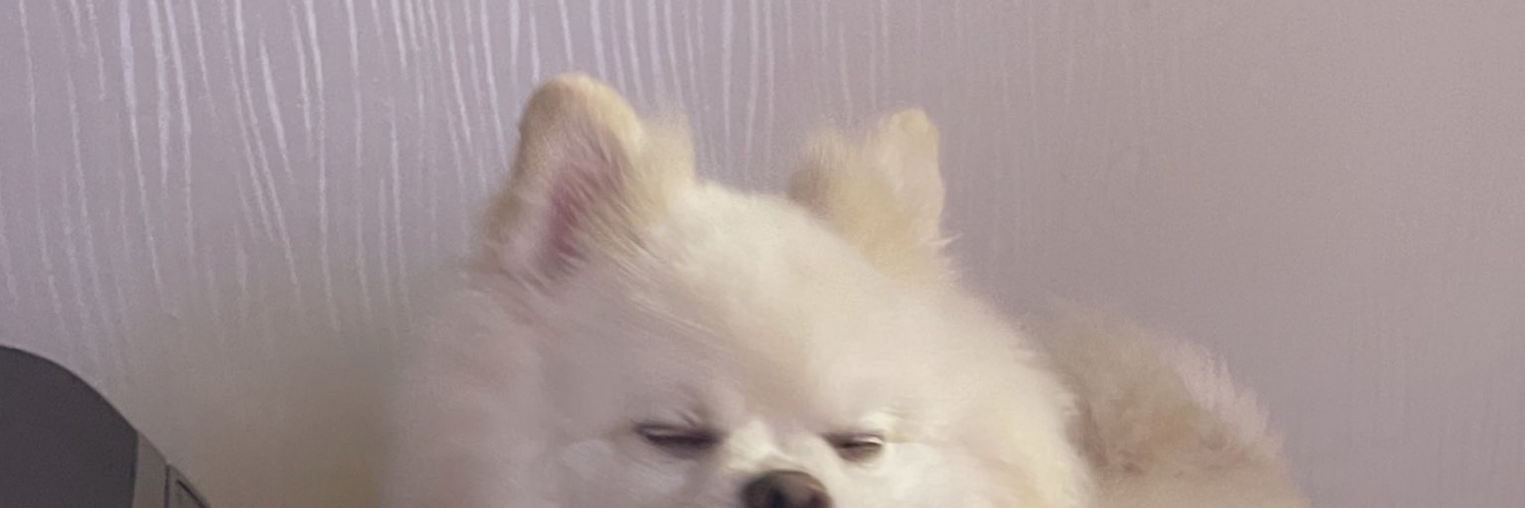 행인