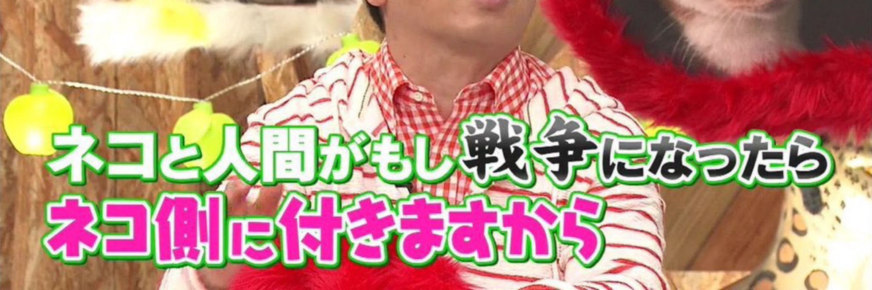 むぎとろ
