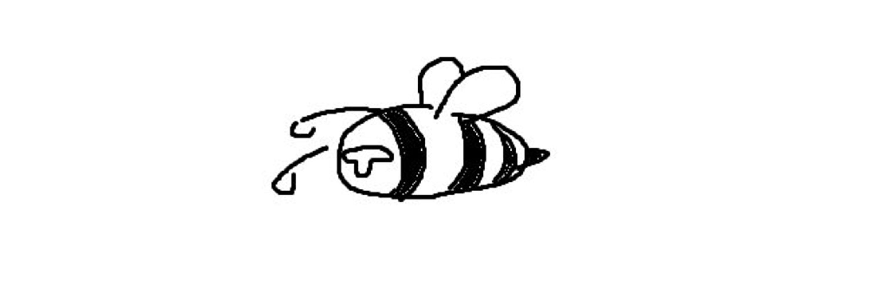 Bees 🍉