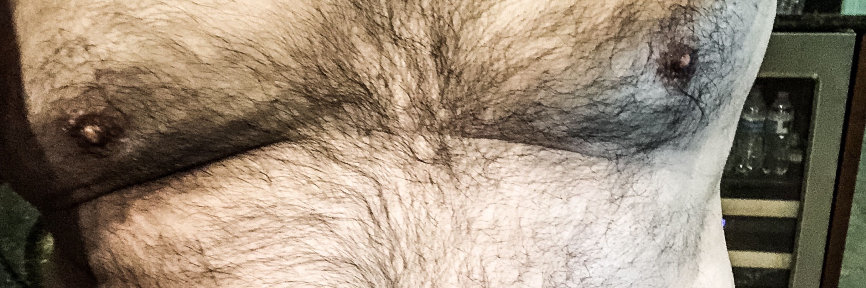 TXBear