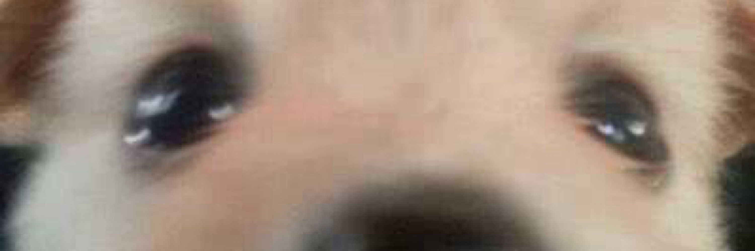 희장