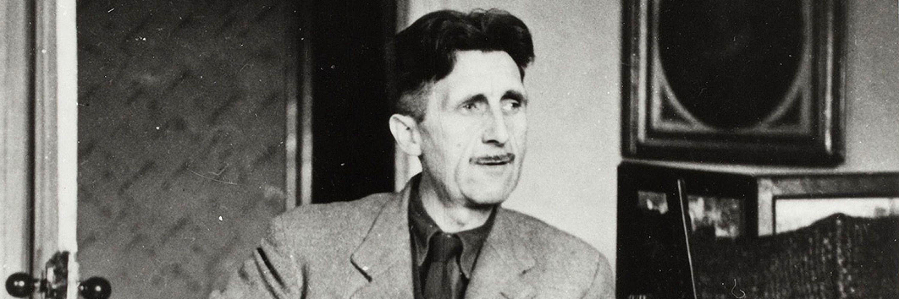 💙ORWELL’S ORACLE💙