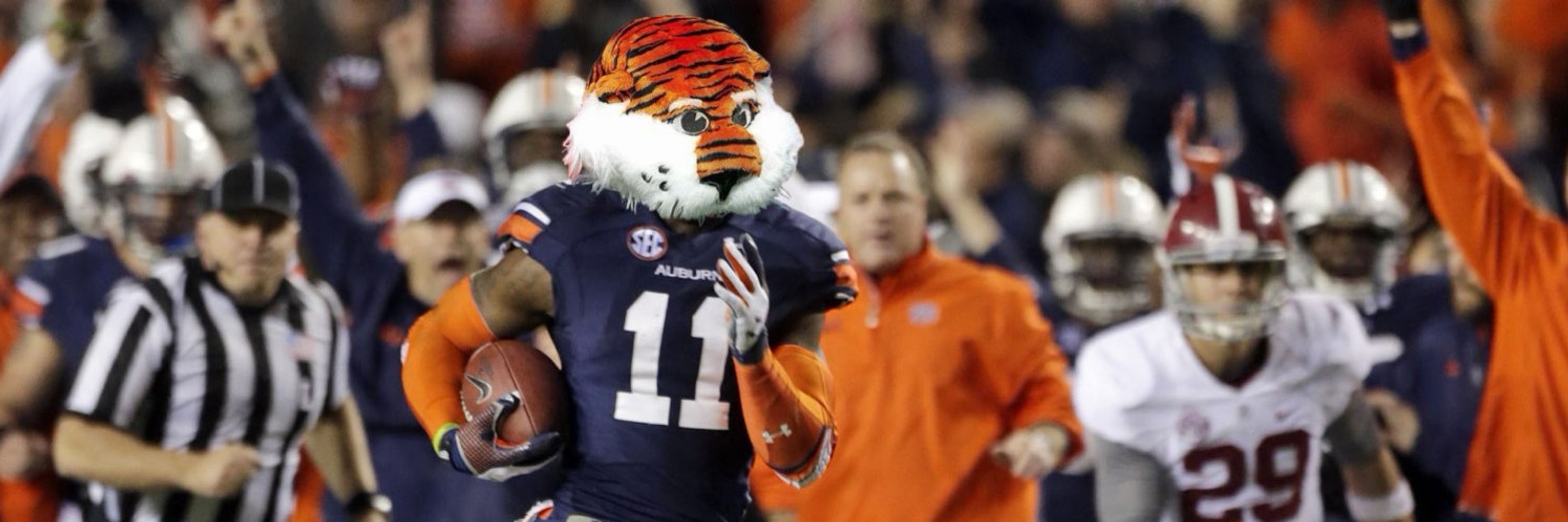Drunk Aubie