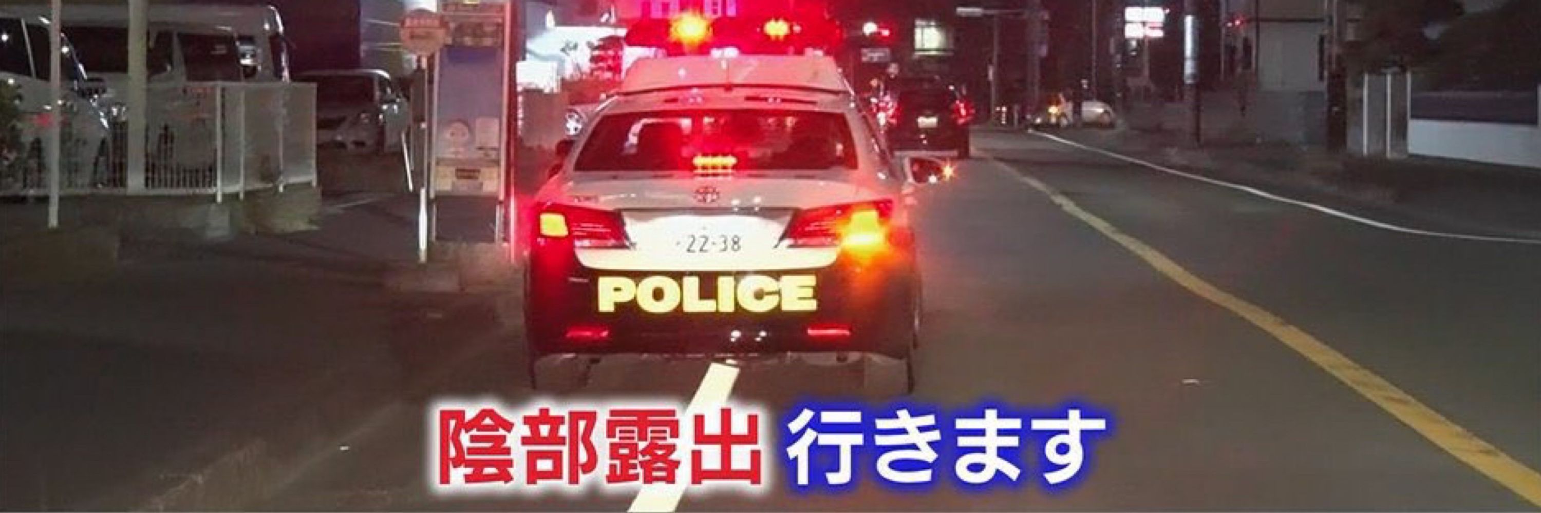 サメ大根