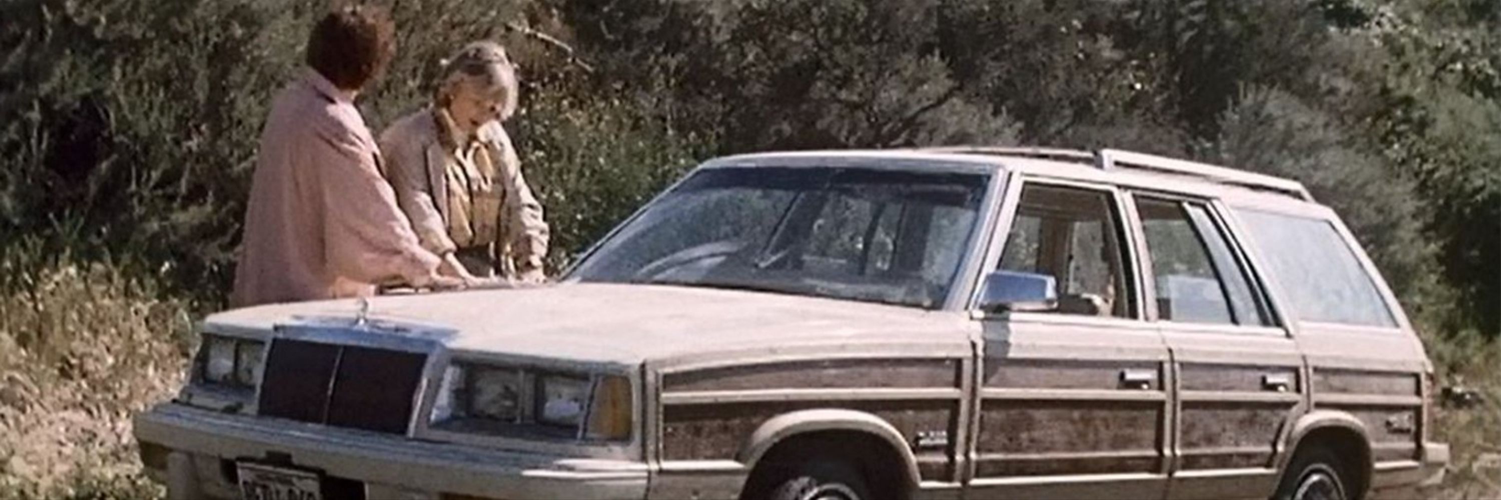 Cagney and/ or Lacey