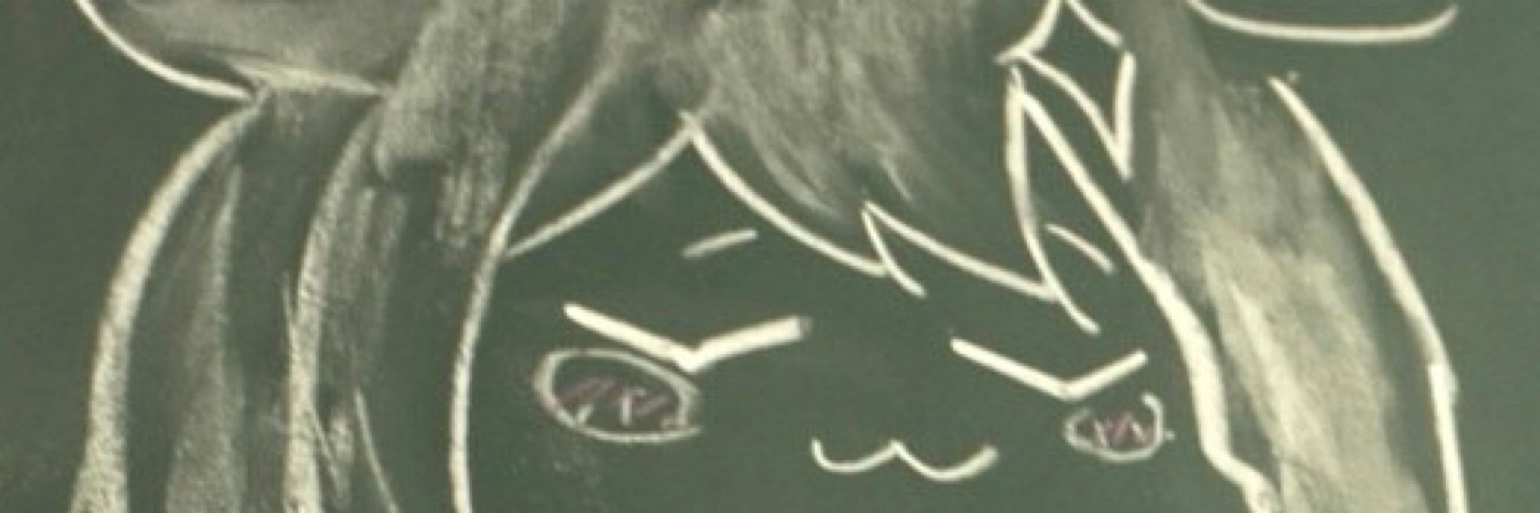 raicilla