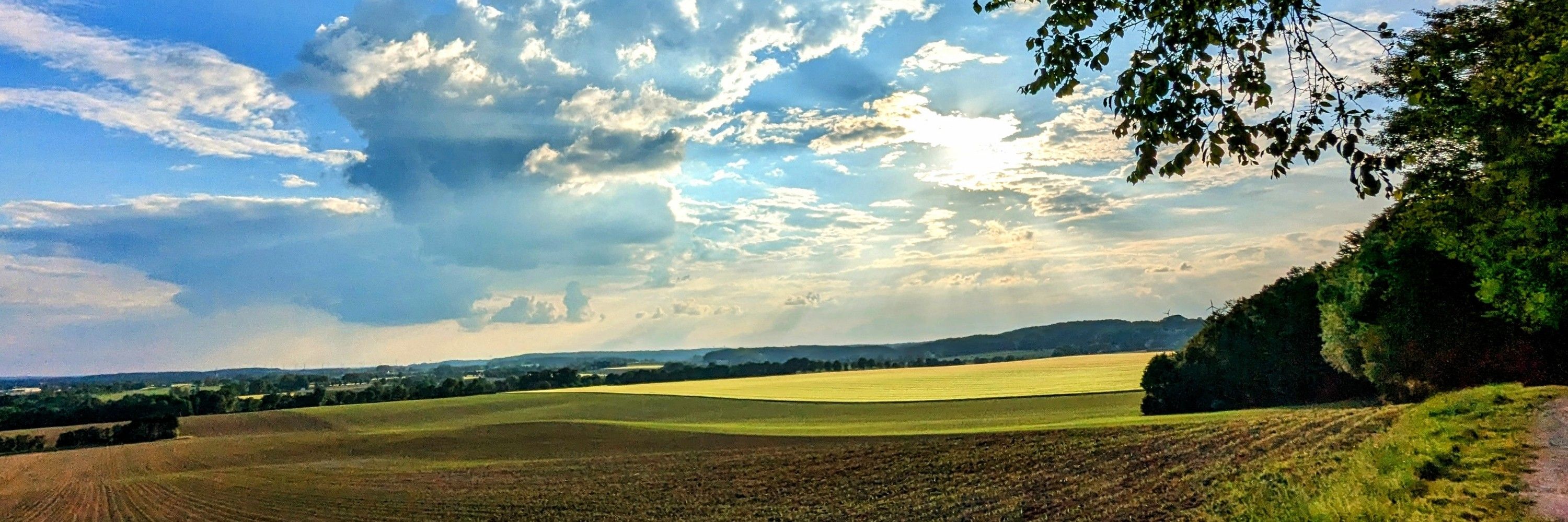 Christian Mück-Lichtenfeld