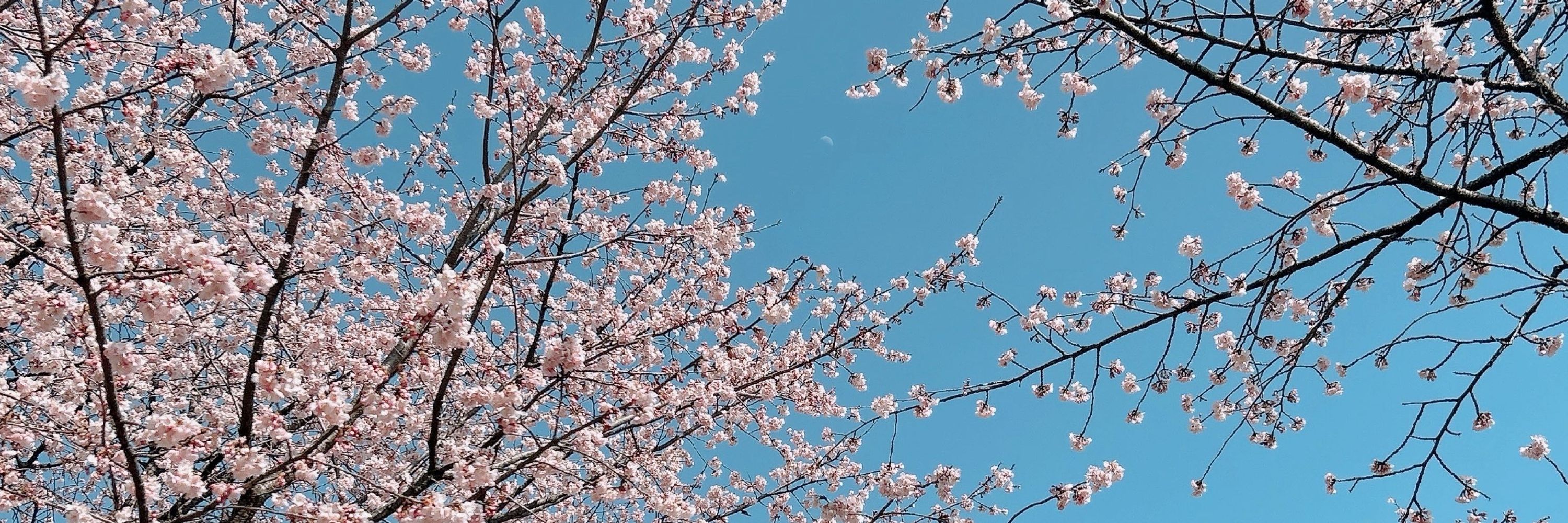 あすく