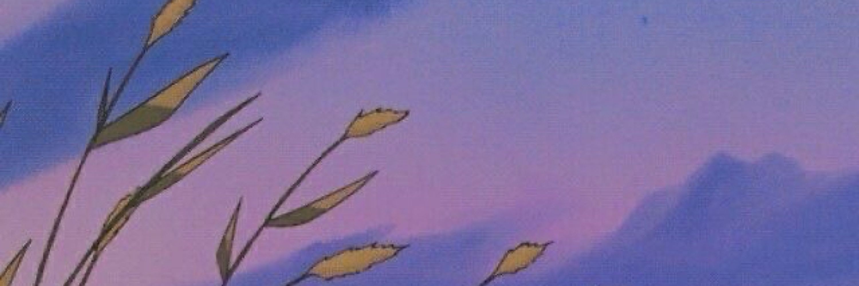Morrow_🌙