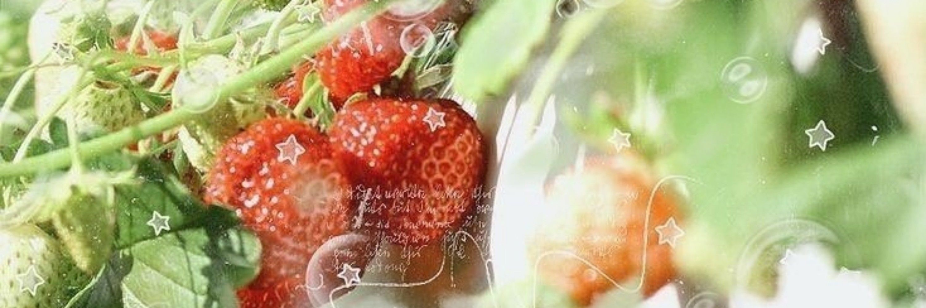 ray² 🍓