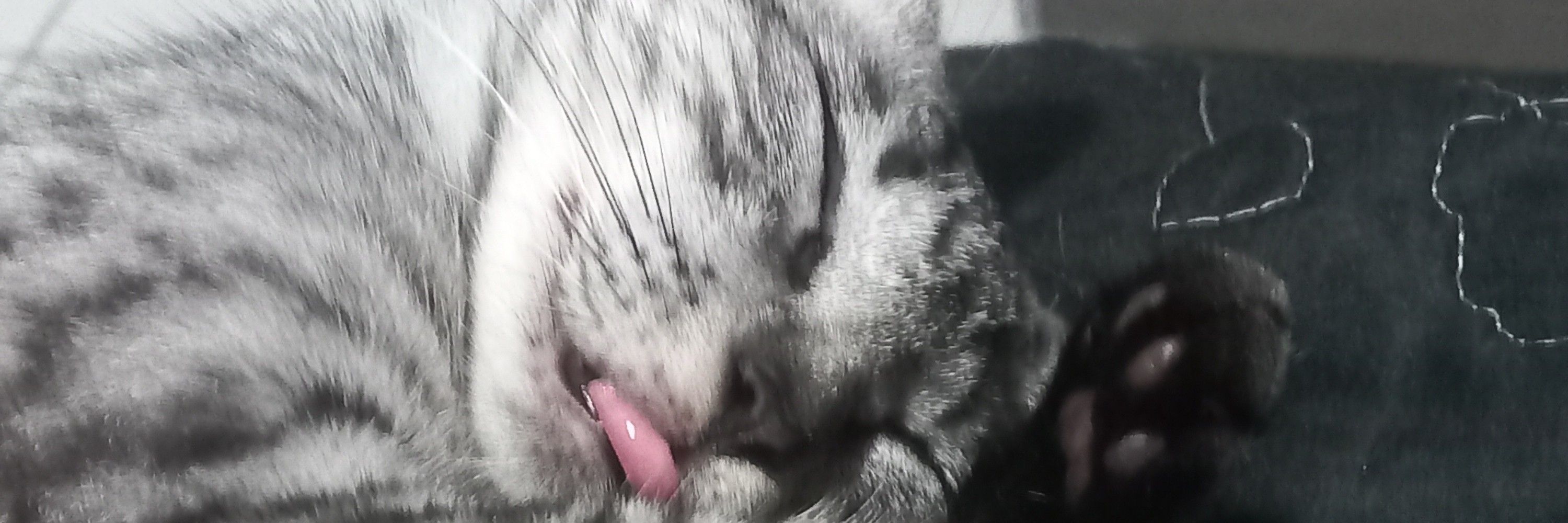 Luzi
