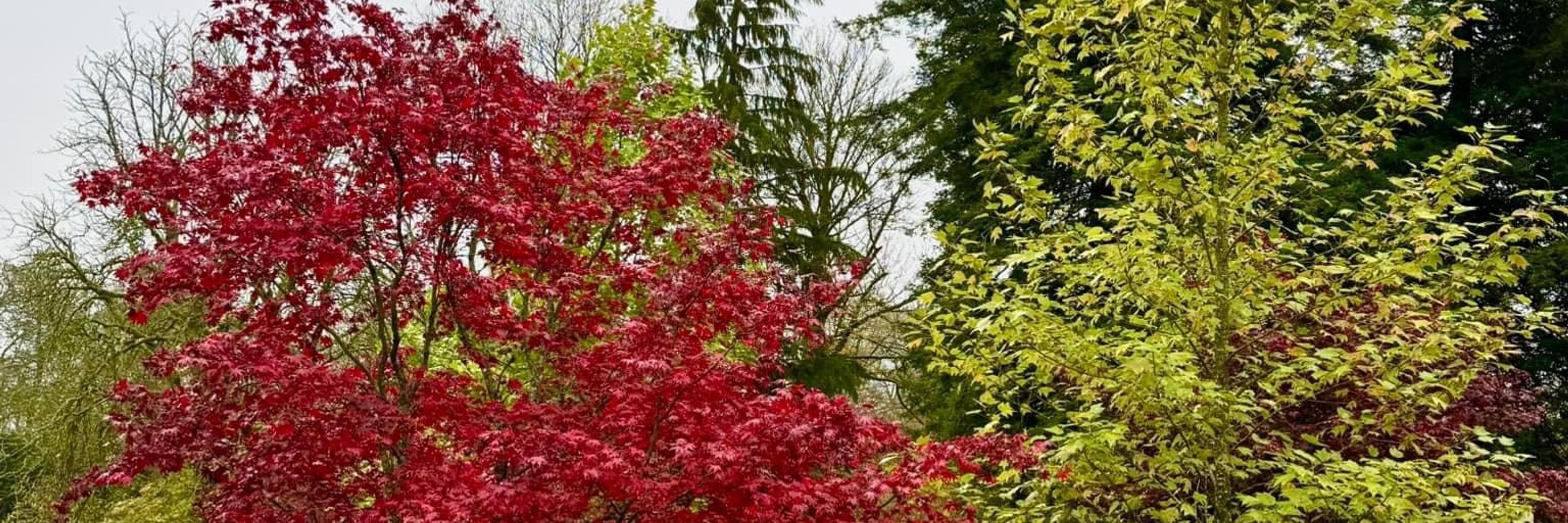 Sue Crocombe