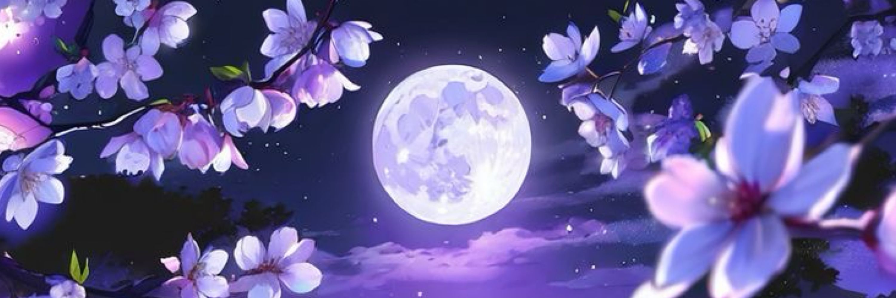 Kai 🌙