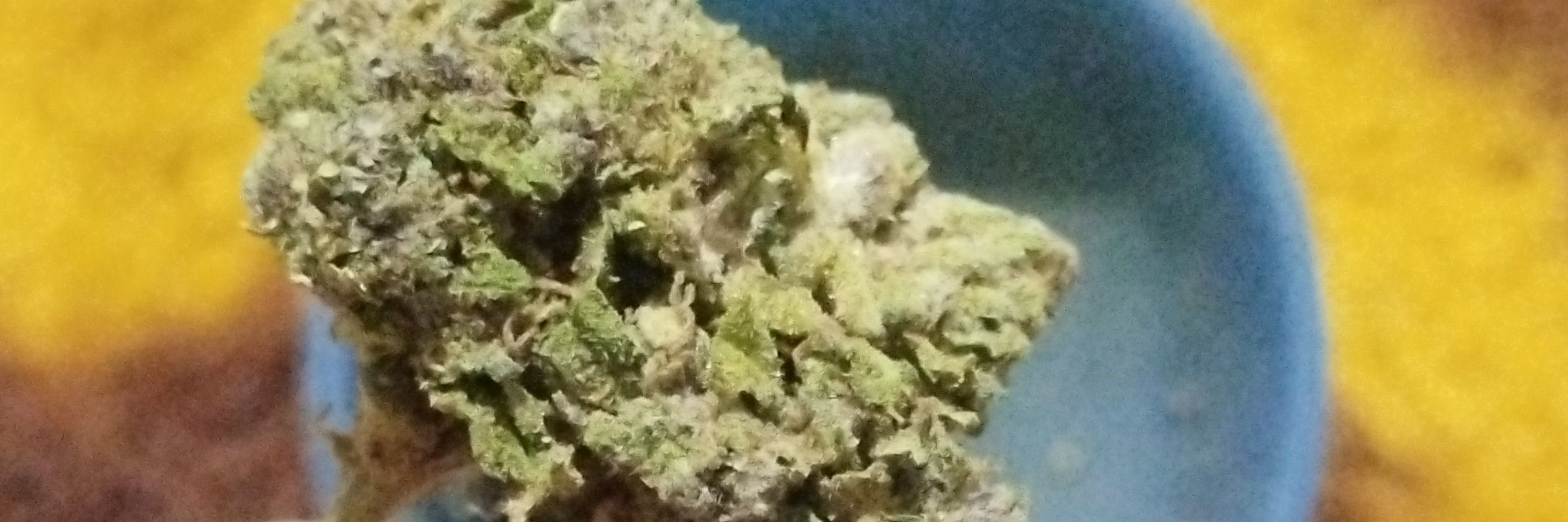 Maconhista 