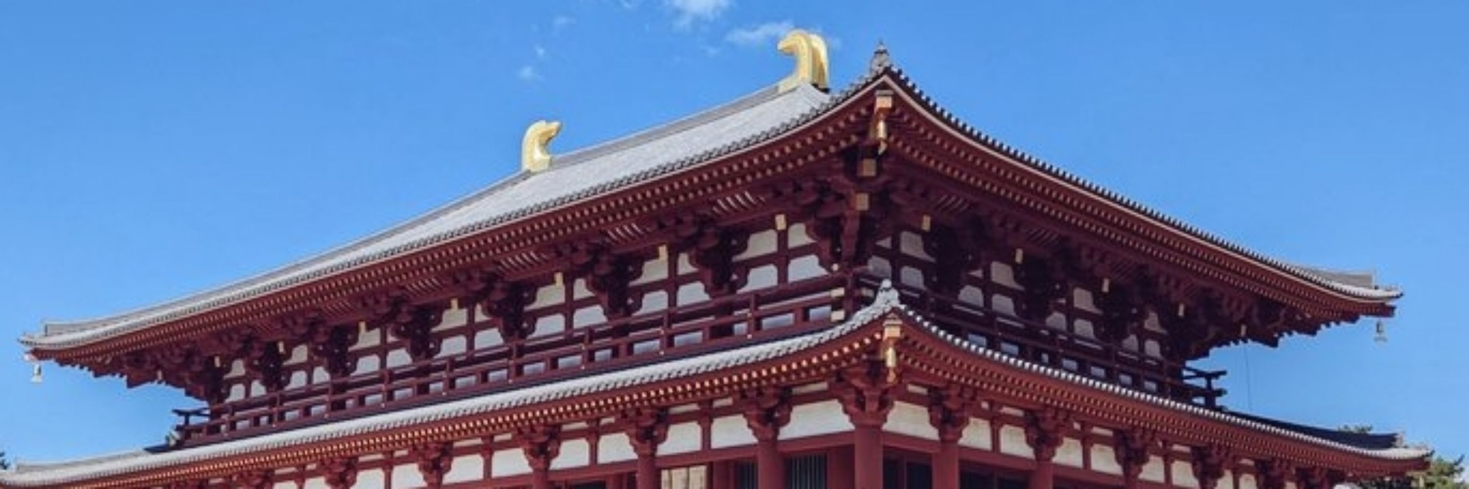月瀬つゆり