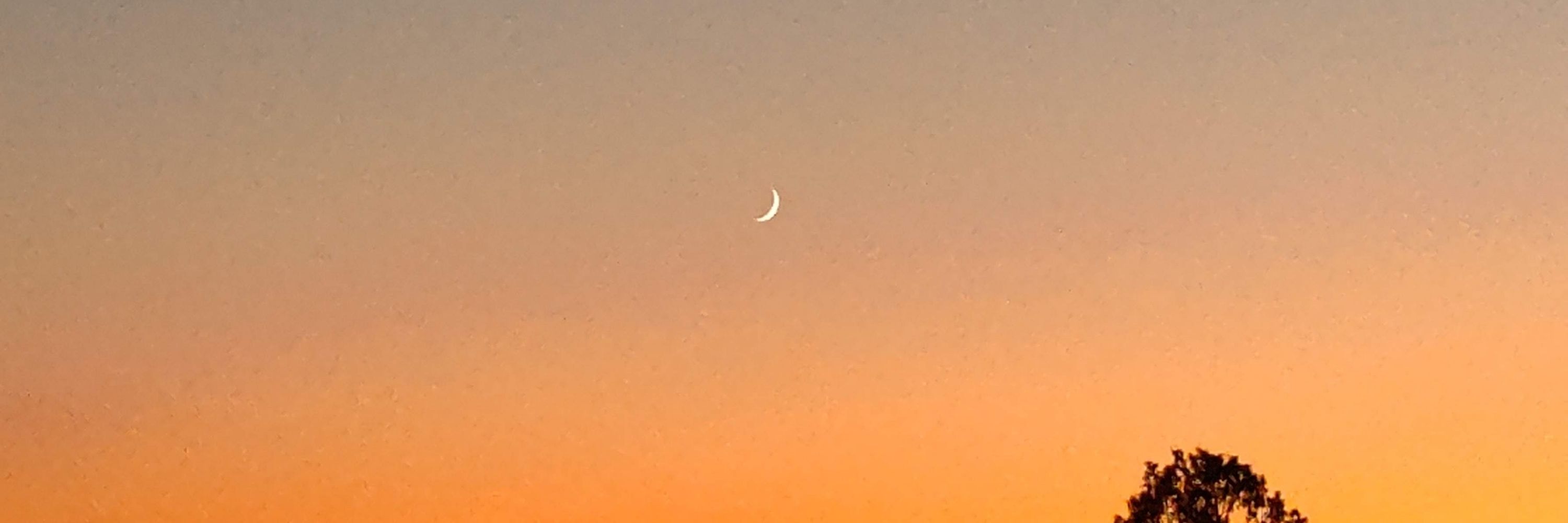 そばこ