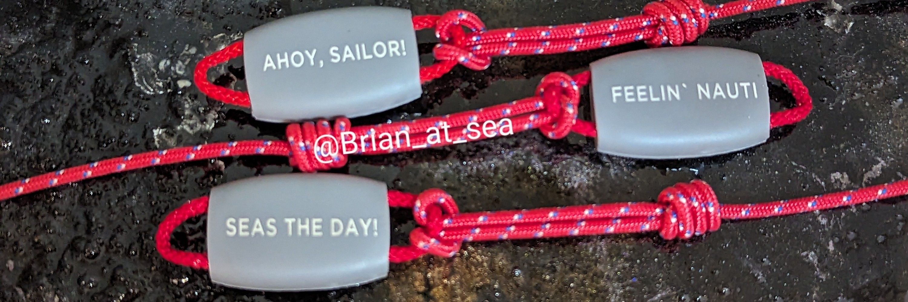 Brian at Sea🚢