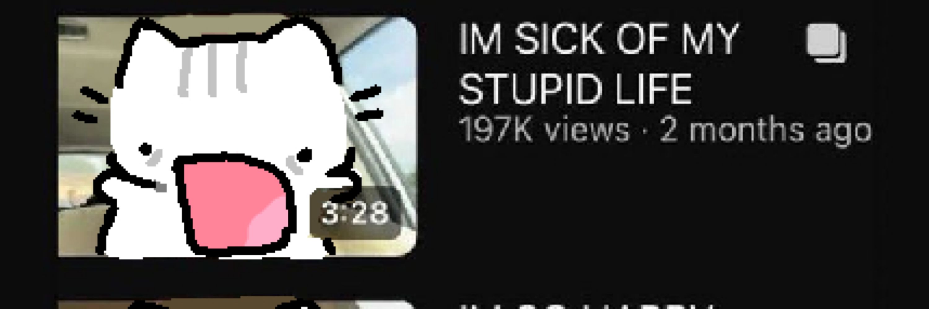 pochacco stan acct