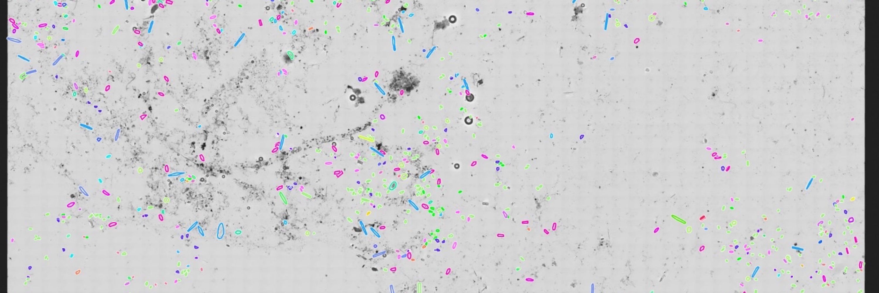 UDE_Phycolab