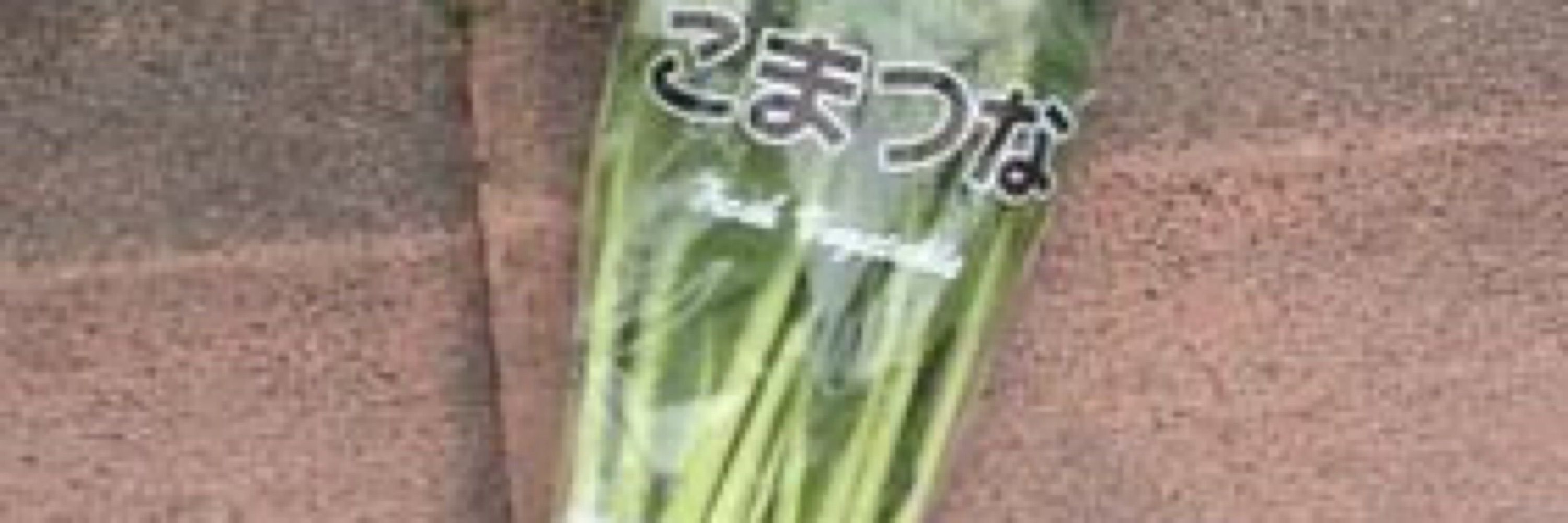ファン・セバスチャン・ロドリゲス🥬
