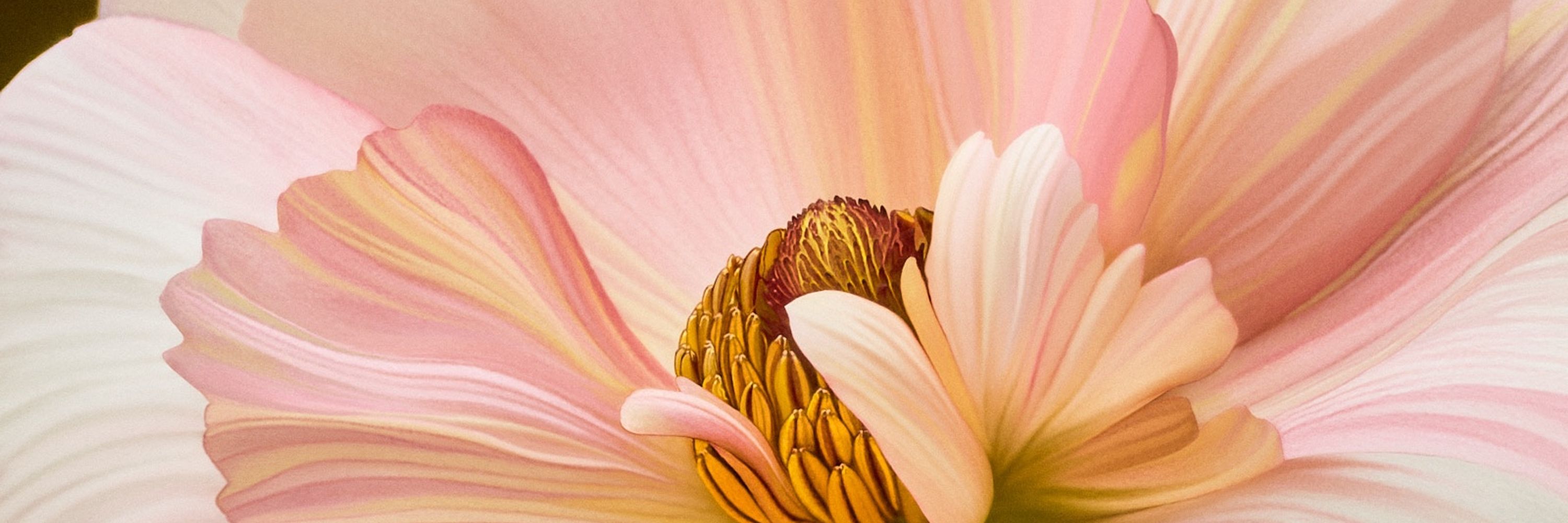 Flower Power 