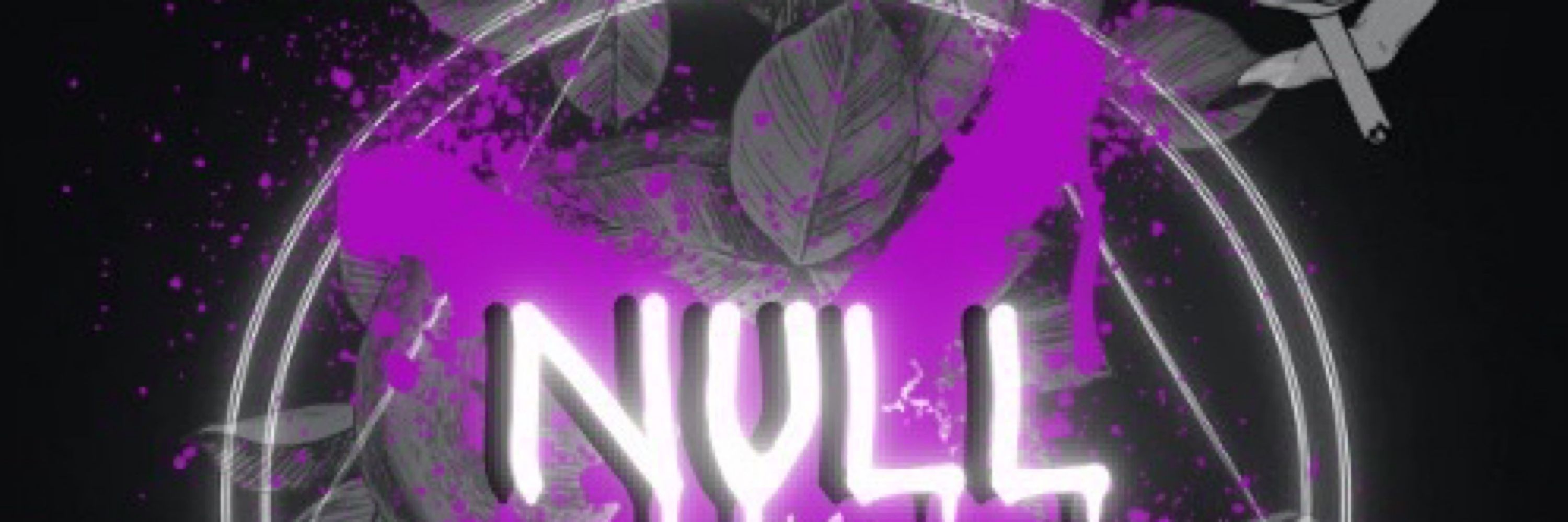 簪 夜帳／NULLRei