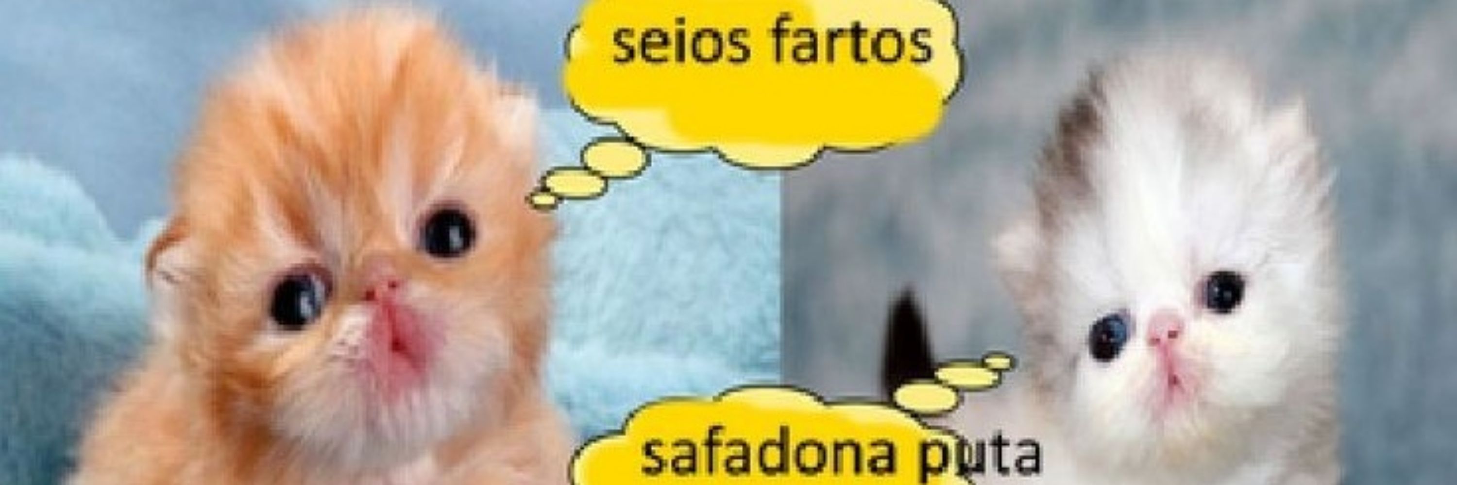 Gabs