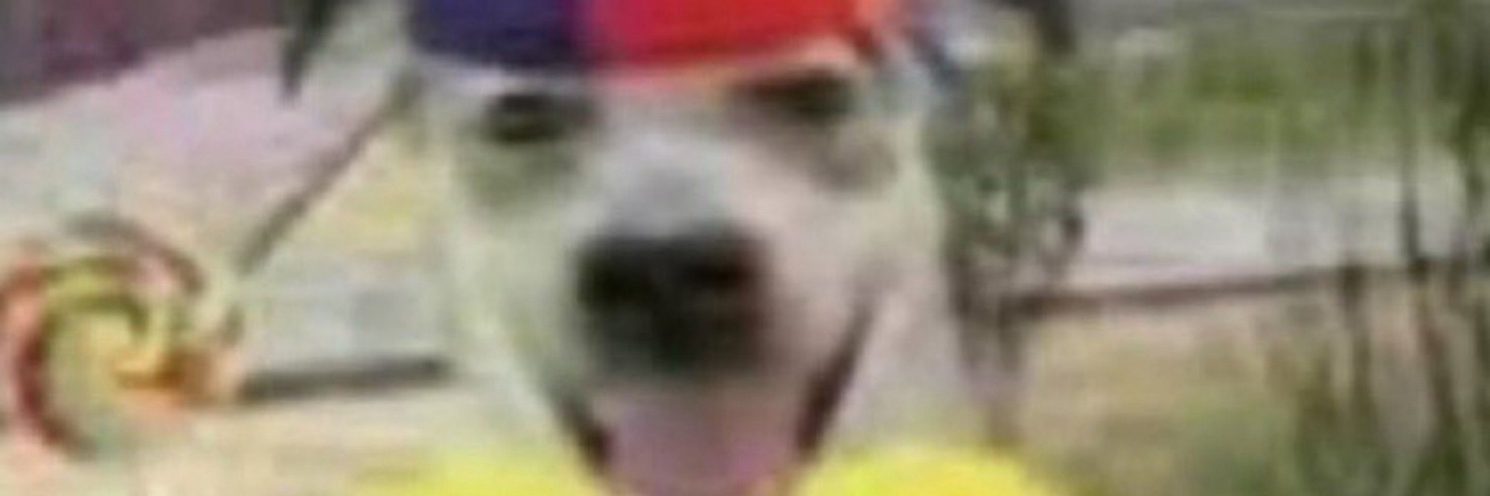 Quellog