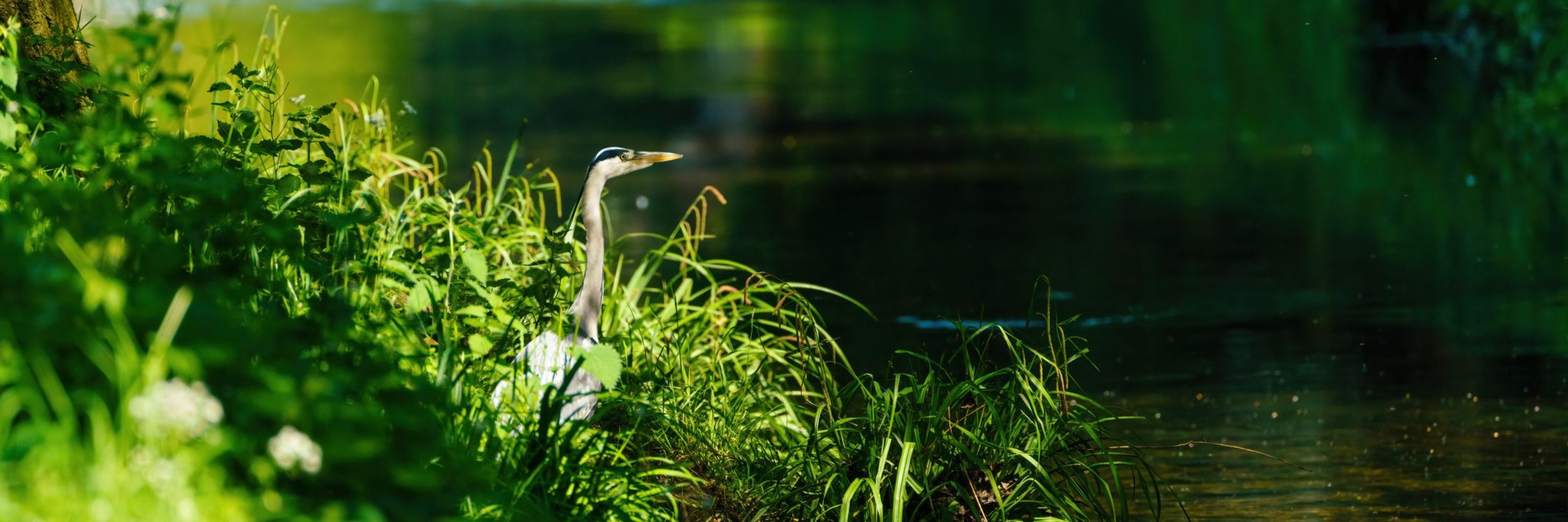 Ouse & Adur Rivers Trust