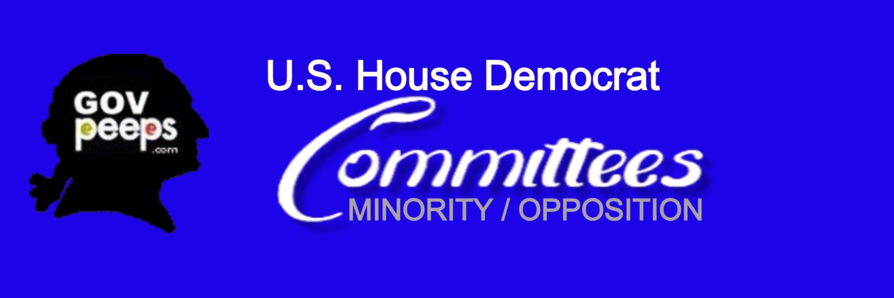 Democrat House Committees (mirror)