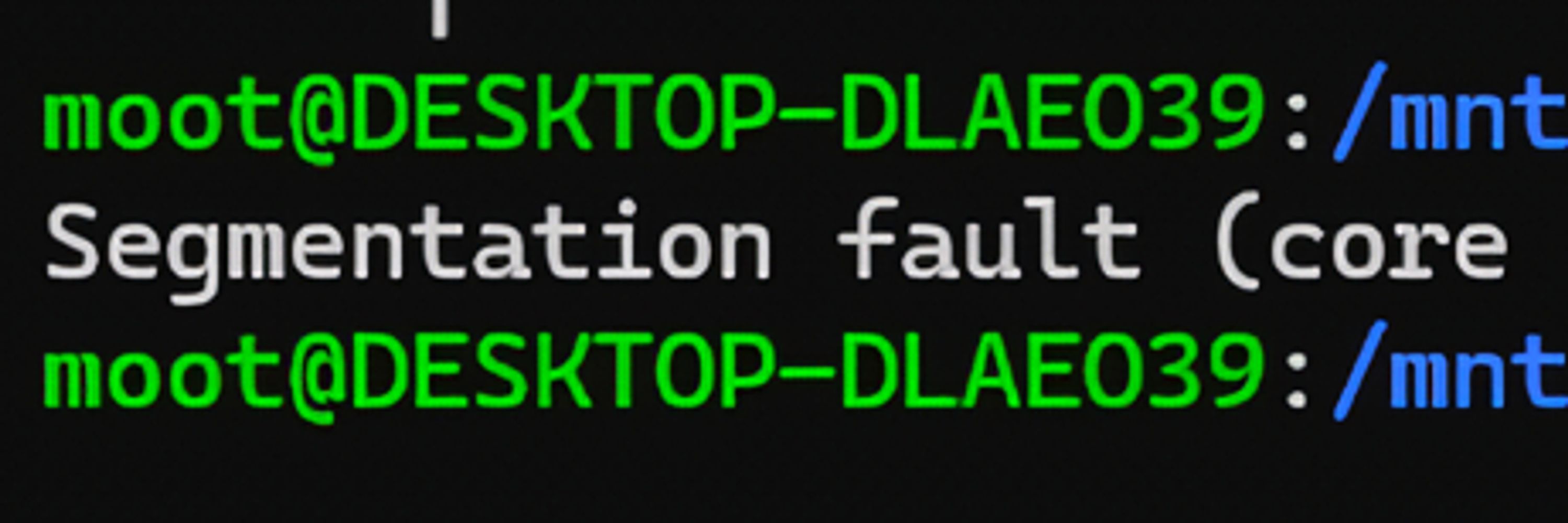 spikycat/segfault