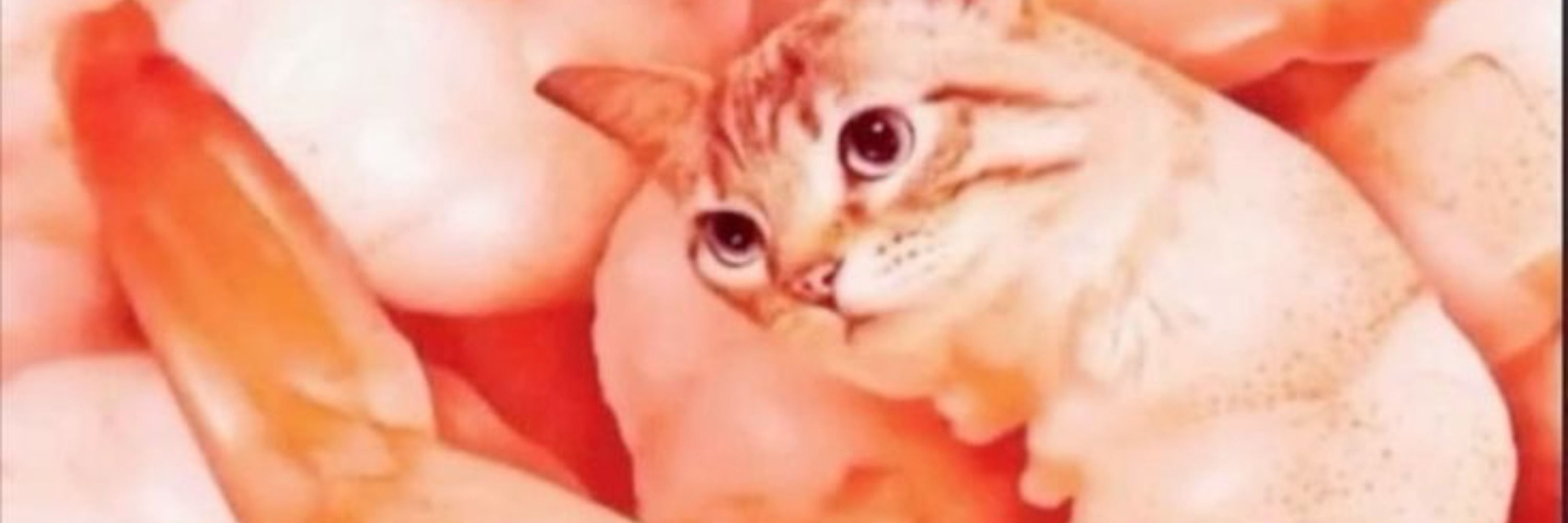 Gatomarão