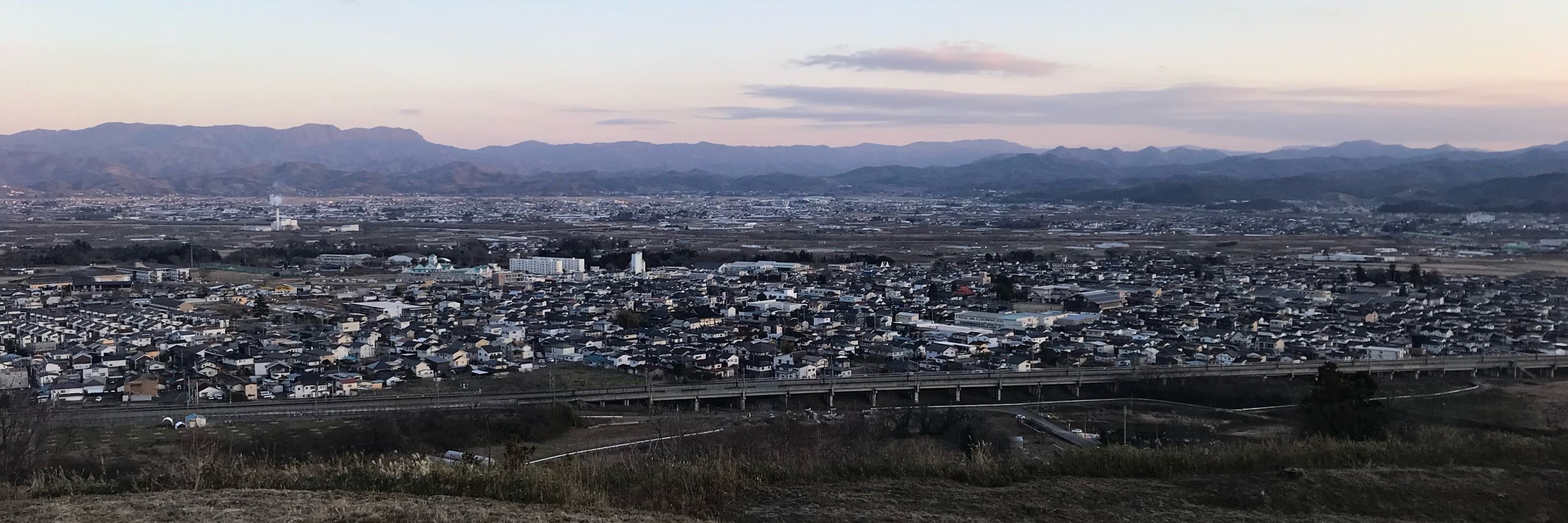 茶クマさま